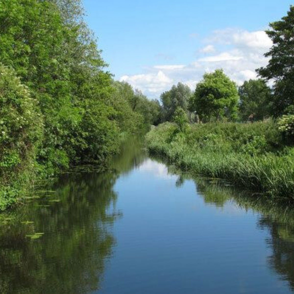 Beckers Green Primary School Fun at the River Blackwater!!